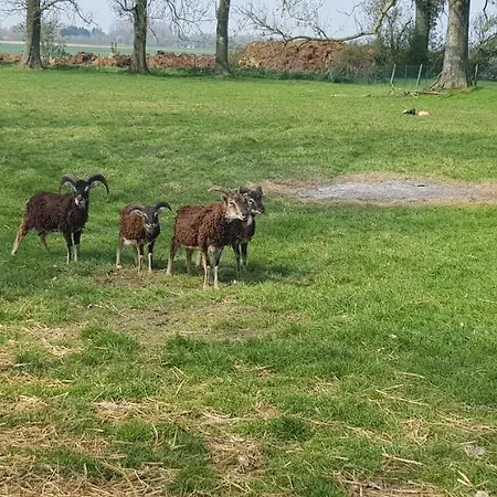Le Blockhaus De Et Domleger-Longvillers